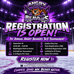 1st Annual Angry Beavers 3v3 Tournament logo